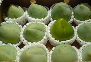 緑色の桃を食べました(^^) - 千葉県八千代の新築一戸建て・土地活用 