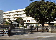 坪井小学校