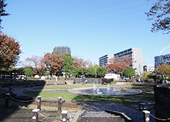 天沼弁天池公園