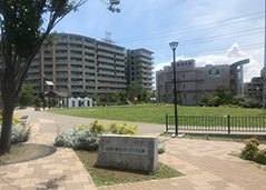 北本町森のシティさくら公園