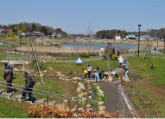 坪井近隣公園