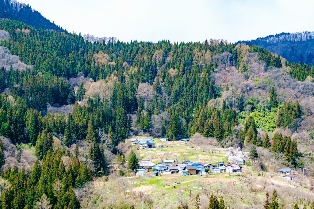 相続土地国庫帰属制度の対象になる田舎の土地