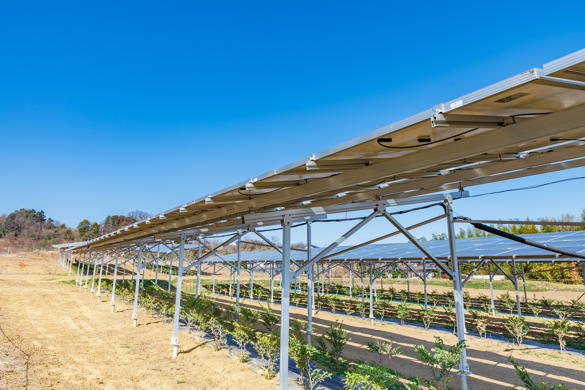営農型太陽光発電で農地活用