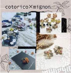 4.cotorico×mignon