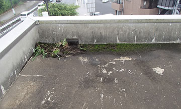 屋根・防水