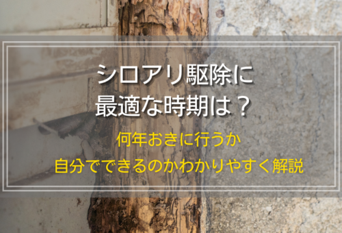 シロアリ駆除に最適な時期は？何年おきに行うか、自分でできるのかわかりやすく解説