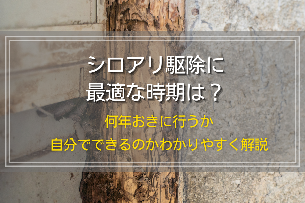 シロアリ駆除に最適な時期は？何年おきに行うか、自分でできるのかわかりやすく解説