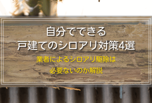 自分でできる戸建てのシロアリ対策4選｜業者によるシロアリ駆除は必要ないのか解説