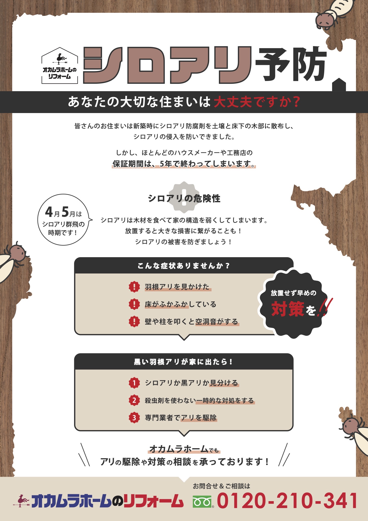 シロアリ予防 | あなたの大切な住まいは大丈夫ですか？