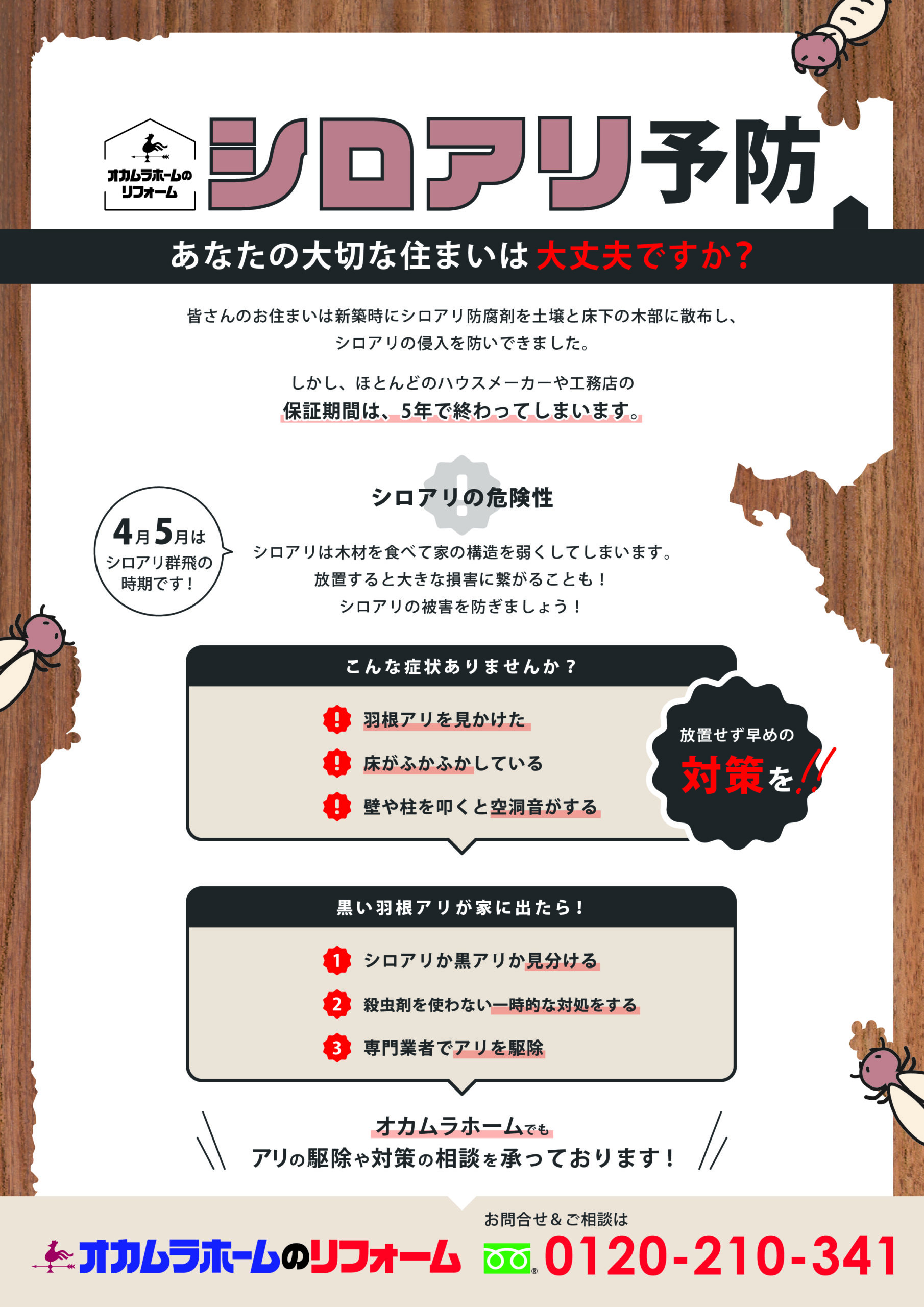 シロアリ予防 | あなたの大切な住まいは大丈夫ですか？