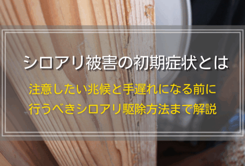 シロアリ被害の初期症状とは｜注意したい兆候と手遅れになる前に行うべきシロアリ駆除方法まで解説