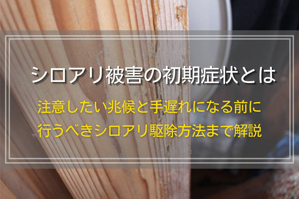 シロアリ被害の初期症状とは｜注意したい兆候と手遅れになる前に行うべきシロアリ駆除方法まで解説
