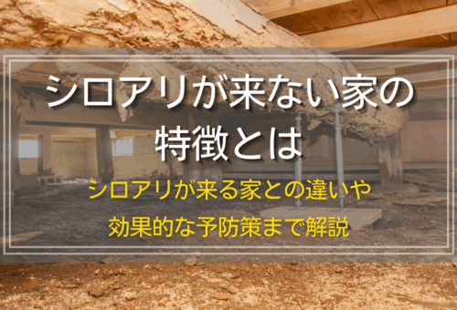 シロアリが来ない家の特徴とは｜シロアリが来る家との違いや効果的な予防策まで解説