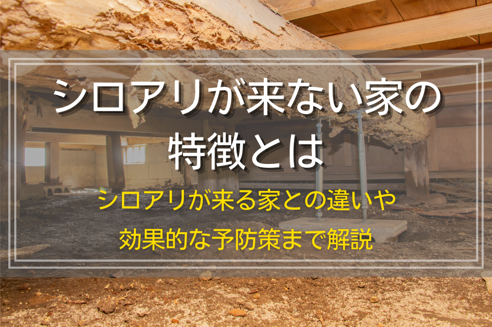 シロアリが来ない家の特徴とは｜シロアリが来る家との違いや効果的な予防策まで解説