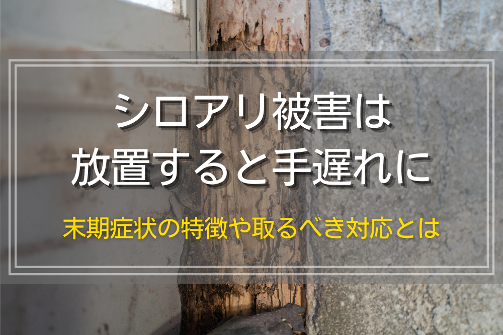 シロアリ被害は放置すると手遅れに｜末期症状の特徴や取るべき対応とは