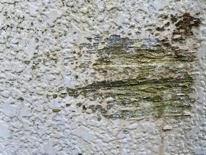 サイディングがボロボロなら今すぐ補修が必要｜東京・千葉・神奈川のリフォーム会社『オカムラホーム』