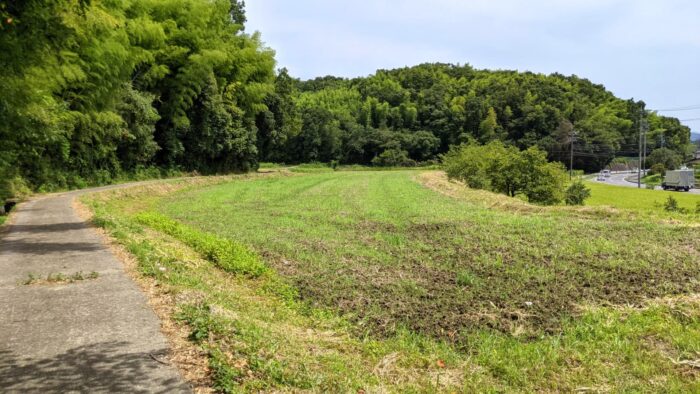 田舎の土地