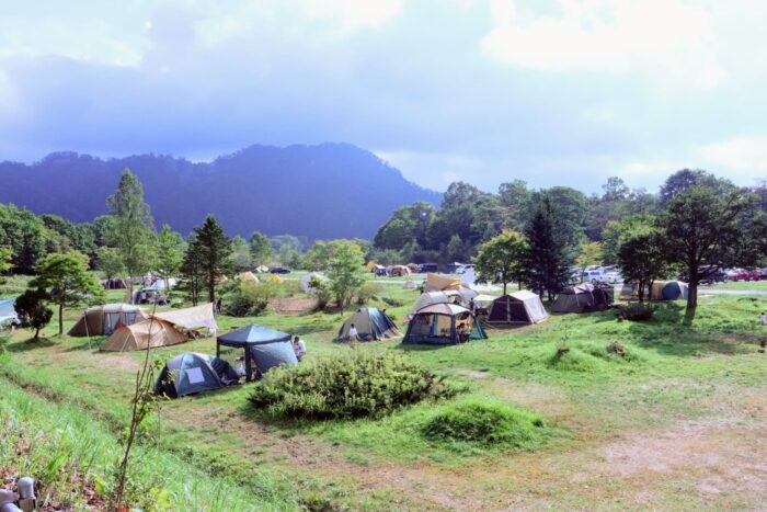 田舎の土地活用